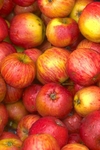 Apples