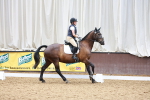 SBM_000995