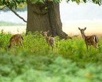 20140929-3K8A5876