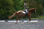 WJ5_9969