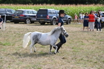 WJ6_7077