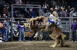 Tucker Curracato_DSC2295