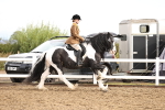 SBM_00261