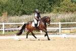 SBM_001627