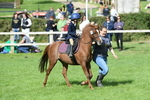 SBM_47153