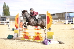 SBM_003537