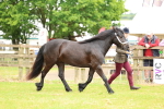 SBM_00455