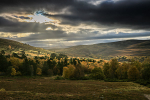 Cairngorms N P, Scotland