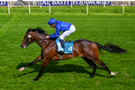 130626-Race 5-Inner City Blues-1804