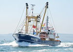 060617 LADY T EMIEL BM-2000 IMG_9544