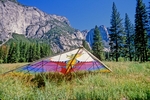 Hang Gliding in Yosemite Natl. Prk. - Calif., USA