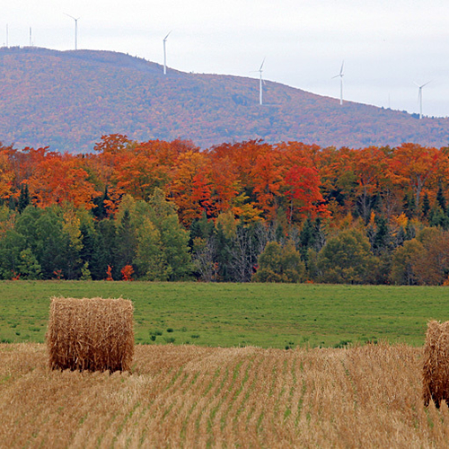New Brunswick Autumn Foliage Fall Colors Colours