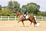 SBM_002298