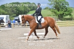 BPP_0016