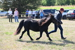 WJ6_4958