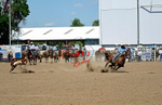 3HRodeo8-11-25_PRCASteer_06164_