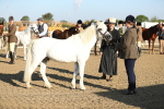 SBM_00016