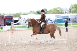 SBM_15803