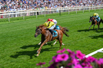 110726-Race 4-Raammee-0266