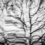 18 04-3030019