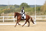 SBM_018382