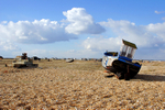 Dungeness