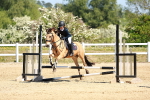 SBM_007560