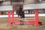 BPP_3936