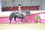 SBM_06993