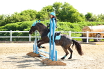 SBM_006782