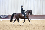 SBM_021385