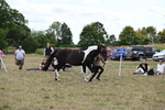 WJ6_5637