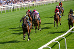 110726-Race 5-Cruden-0360