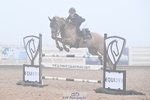 Cls 22, 30+31 Pony 1.15, Junior 1.20 and 1.25 portfolio