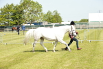 SBM_01721
