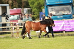 SBM_00429