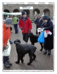 Dogs at the February Market