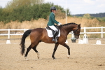 SBM_009648