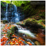 Autumn Falls, Glenariff Forest Park (IMG0413)
