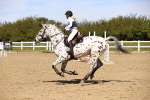 SBM_002225