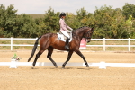 SBM_001286