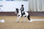 SBM_001330
