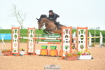 240316A-124339-03511_Cls 15 Snr Foxhunter