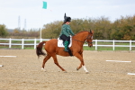 SBM_002592