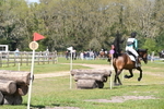WJ6_5354