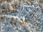 SPLASH #26 - BRUCE COUNTY