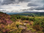 Ilkley Moor in Autumn