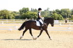 SBM_002929