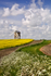 Chesterton Windmill 02