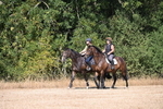 WJ6_7847